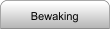 Bewaking
